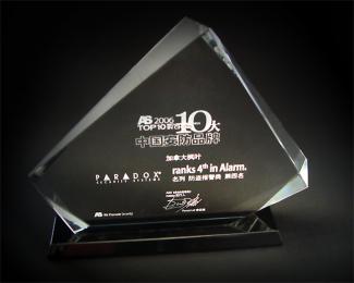 2006國(guó)際十大安防品牌