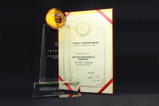 2016國(guó)際十大安防品牌